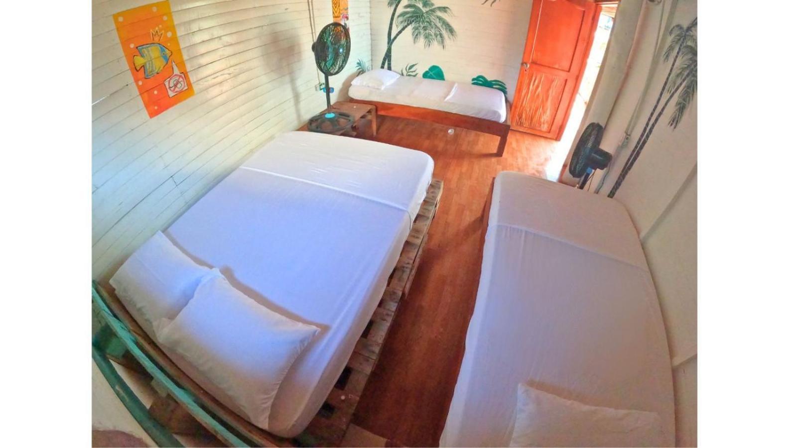 Posada Nativa Casa Azul ปลายาบลังกา ภายนอก รูปภาพ